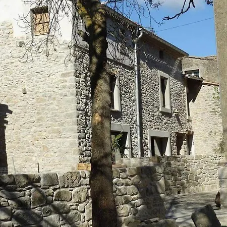 Misanid Ecrin De Verdure A 15mm De La Cite De Carcassonne *