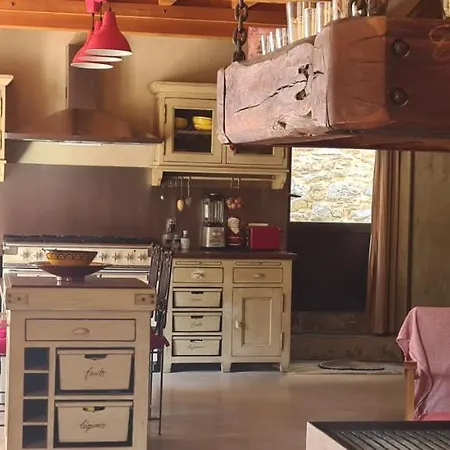 Misanid Ecrin De Verdure A 15mm De La Cite De Carcassonne