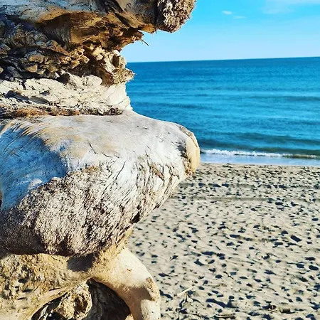 Prázdninový dům Misanid Ecrin De Verdure A 15mm De La Cite De Carcassonne *