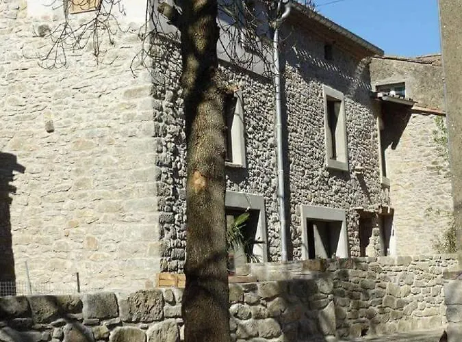 Misanid Ecrin De Verdure A 15mm De La Cite De Carcassonne *