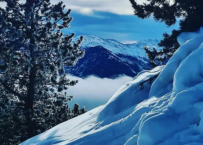 Misanid Ecrin De Verdure A 15mm De La Cite De Carcassonne